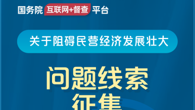 大鸡吧插逼视频国务院“互联网+督查”平台公开征集阻碍民营经济发展壮大问题线索